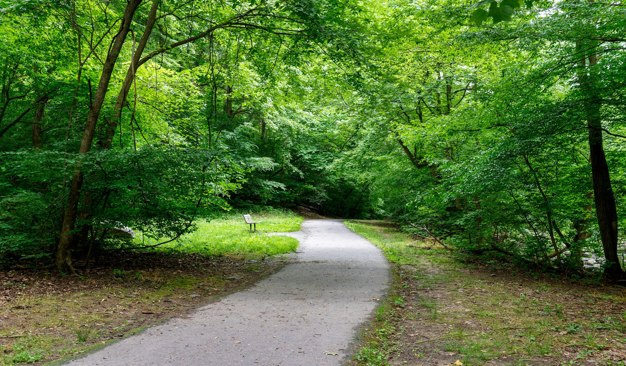 The Residences at Capital Crescent Trail - Chevy Chase, MD - Trail