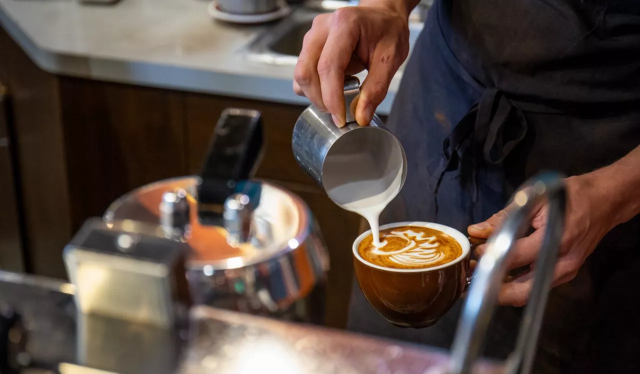 Coffee