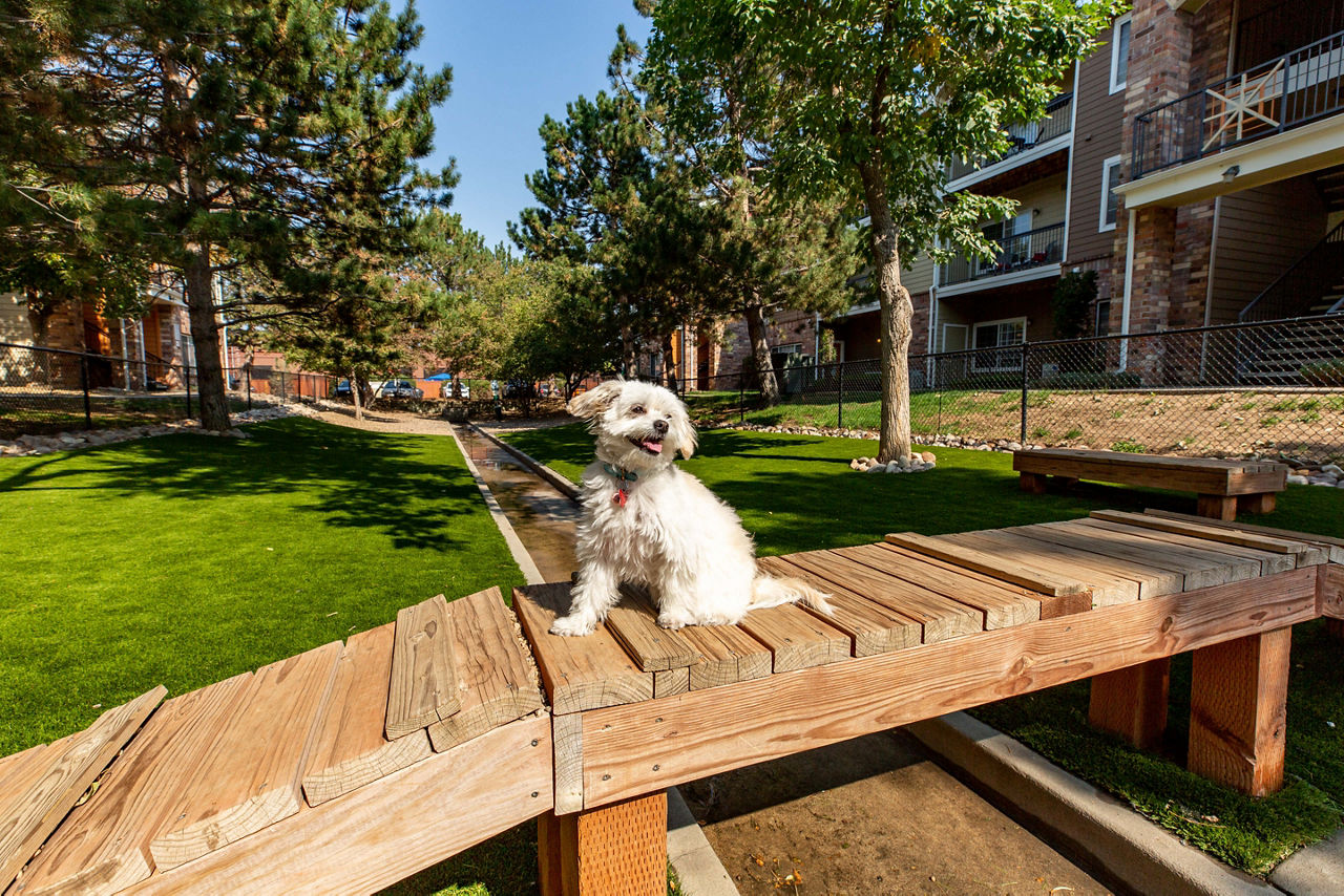 Oak Trail at Cherry Creek South 7 of 12