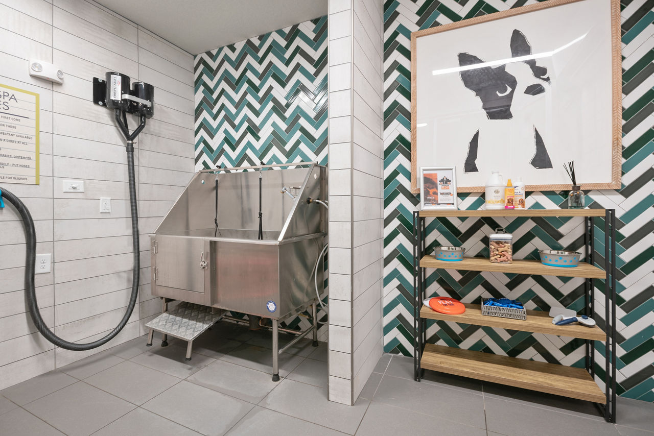 Pet wash at Cue