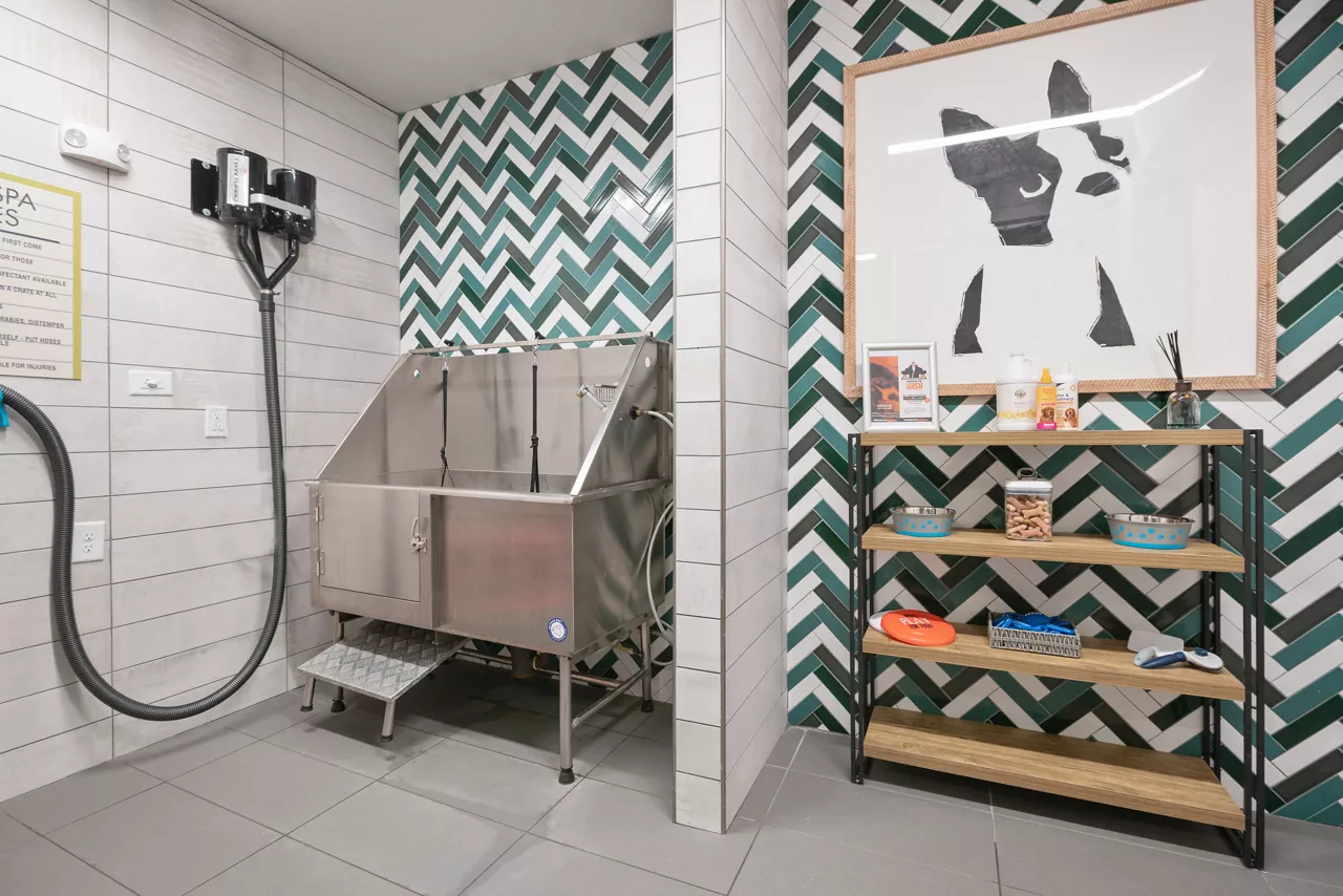 Cue Apartments in Jacksonville, FL - Pet Spa
