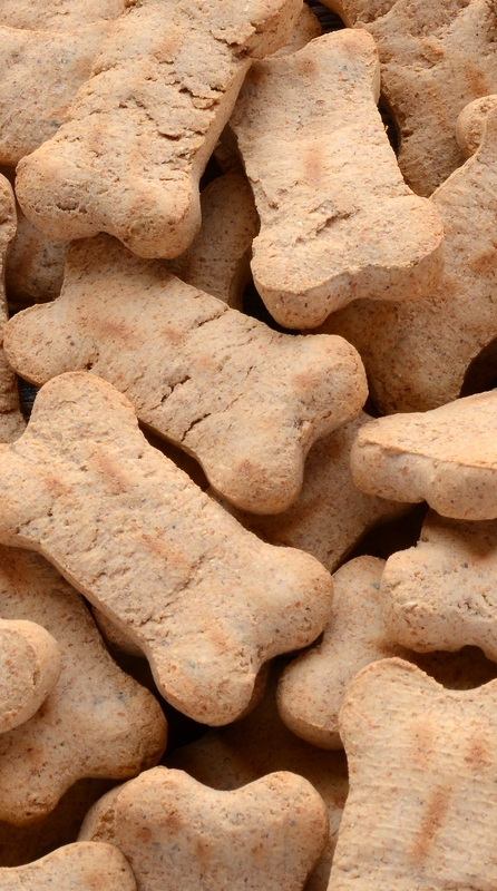 Broadcast Center Apartments - Los Angeles, CA - Dog biscuits in pet bowl