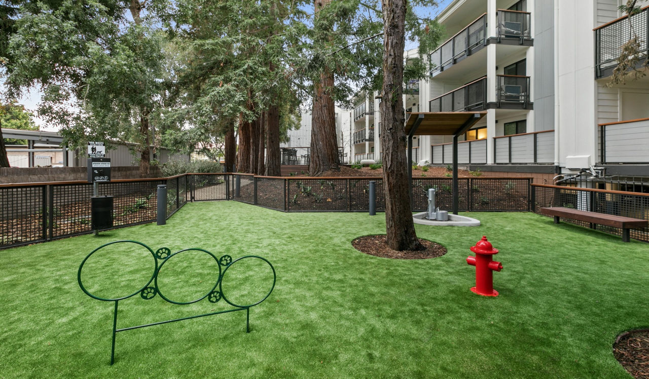 707 Leahy - Redwood City, CA - Dog Park