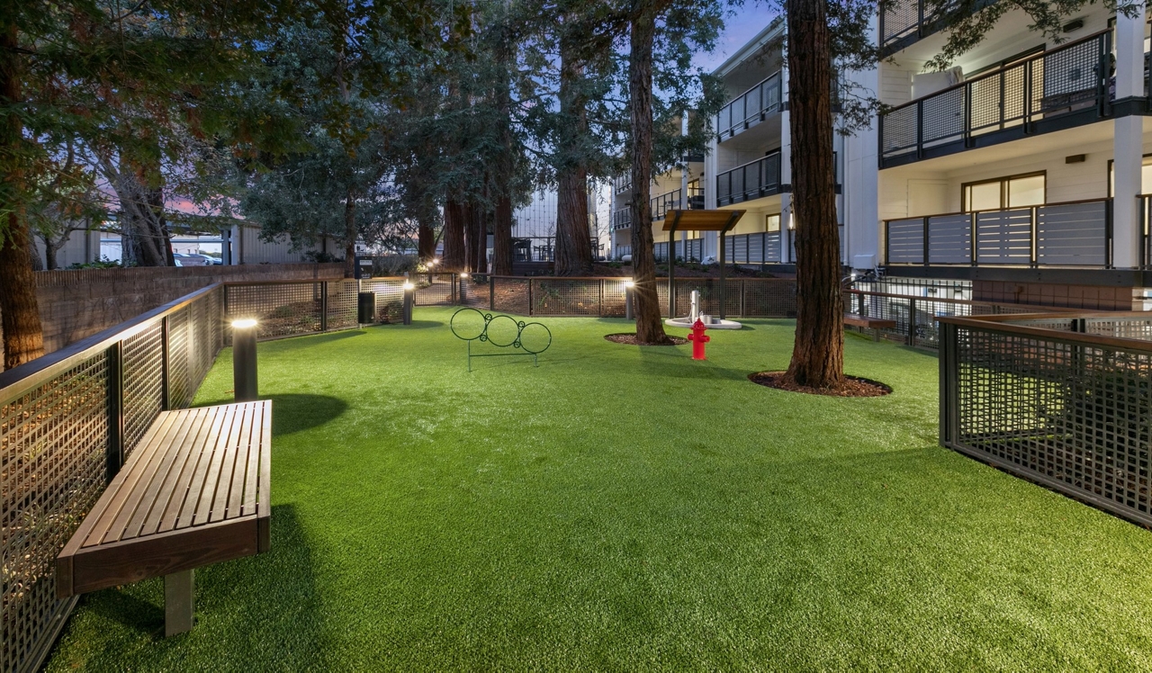 707 Leahy Apartment, Redwood City, CA, dog park