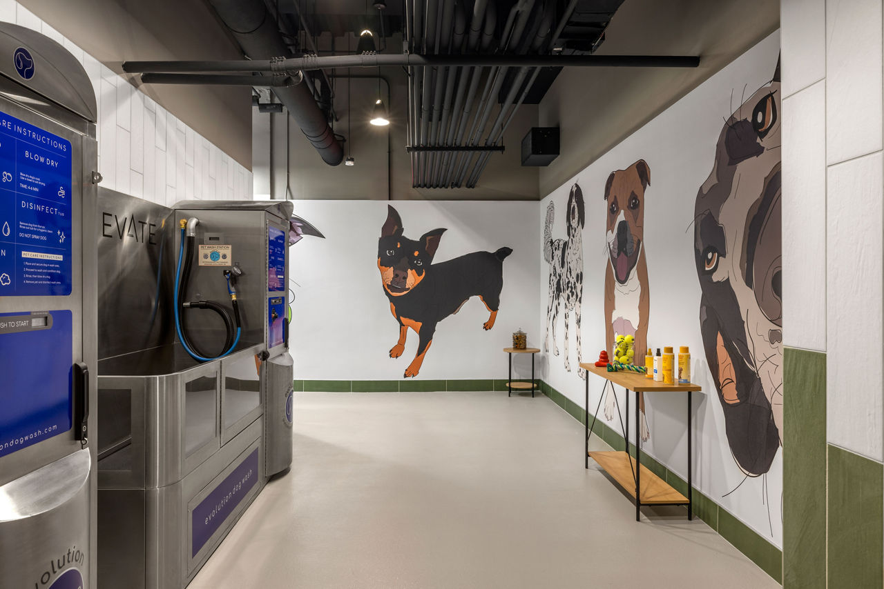 Elevate - Cambridge, MA - Pet Spa