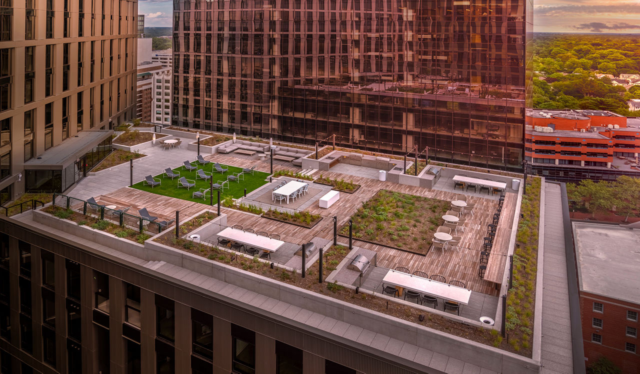 Roof deck at The Elm