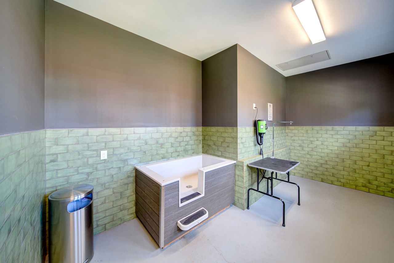 Treeline Timber Creek - Garner, NC - Pet Spa