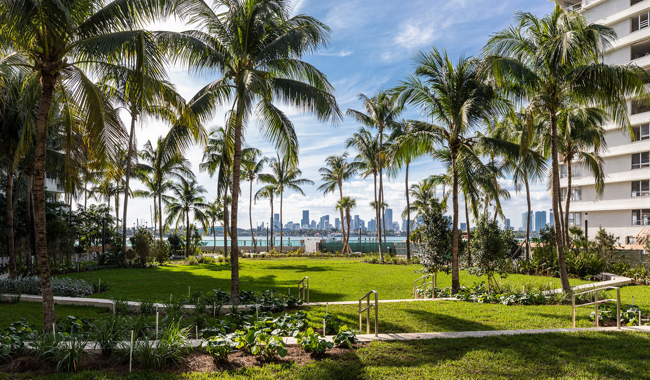 Flamingo South Beach - Miami, FL - Courtyard