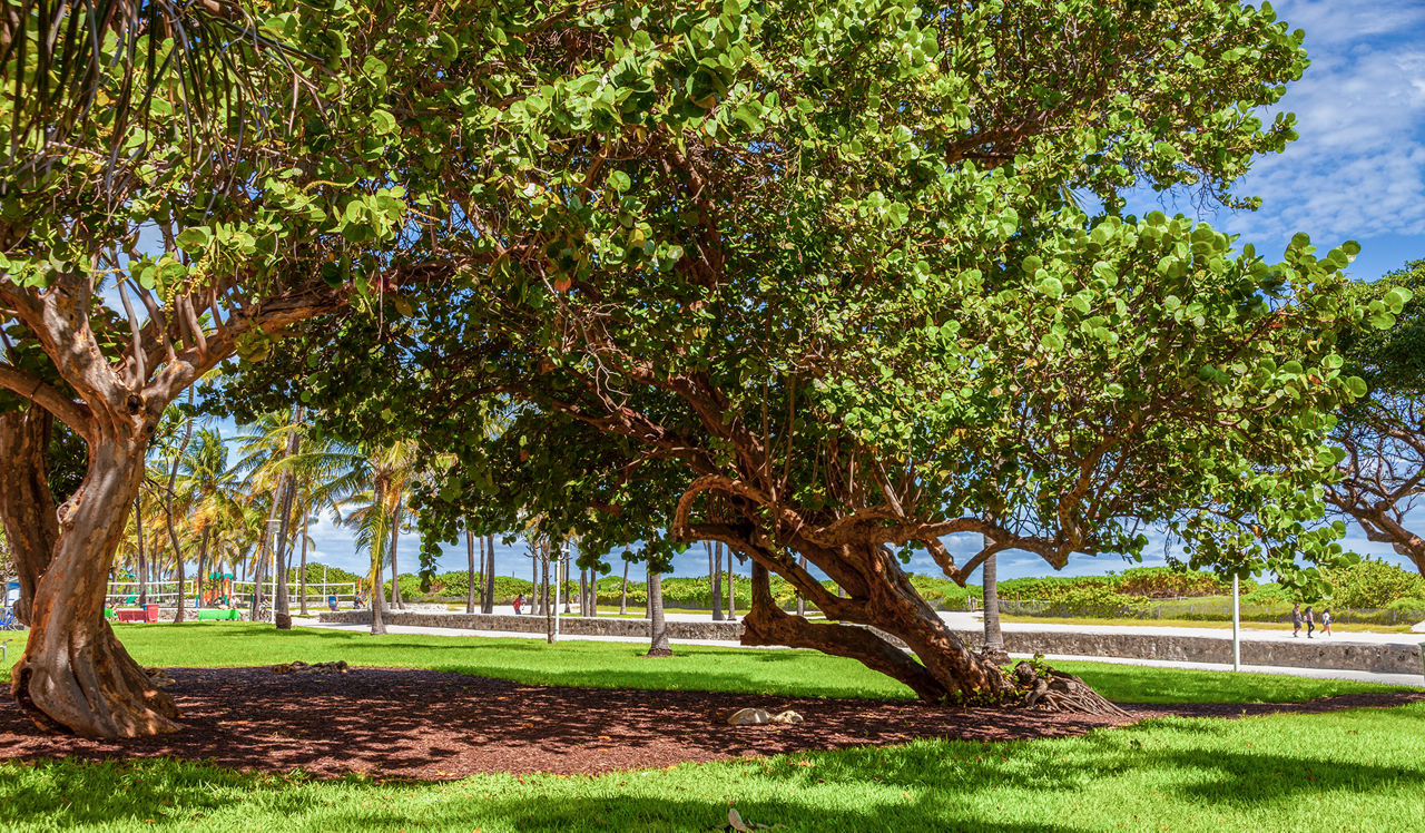 Flamingo Point | Miami, FL | Lumus Park