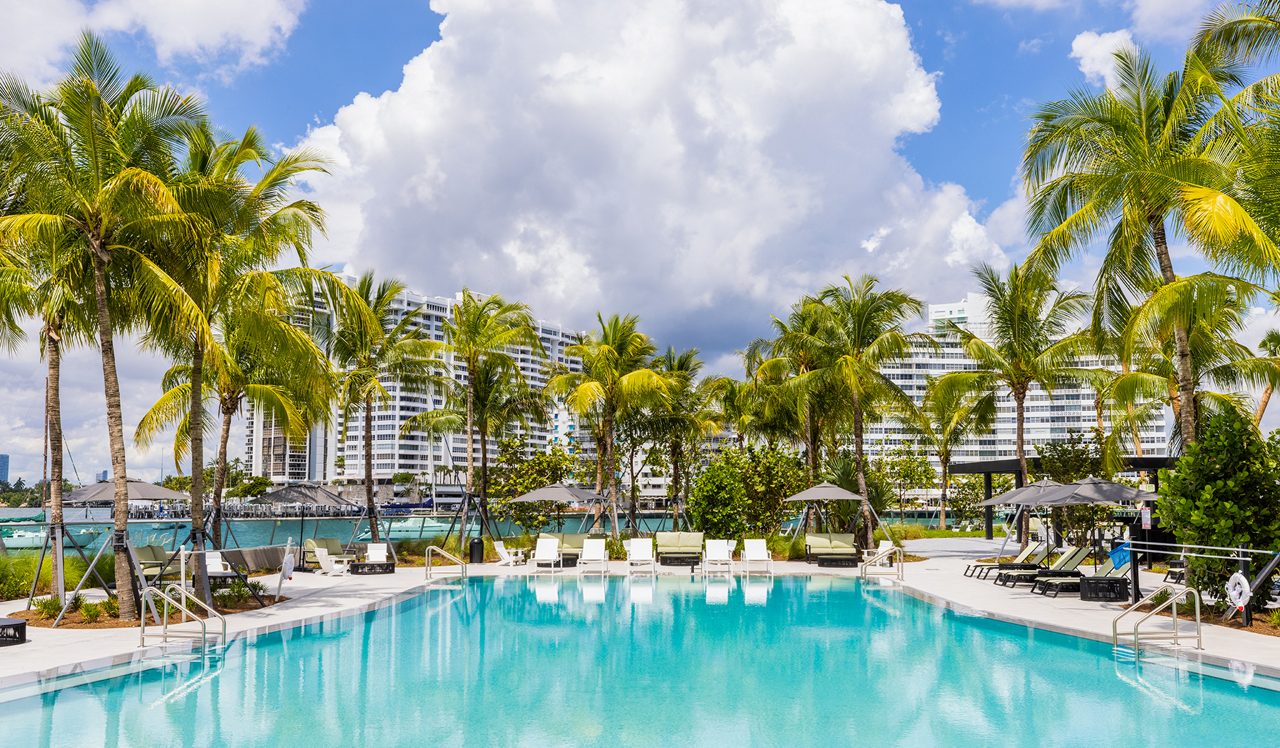 Pool and Pool deck
