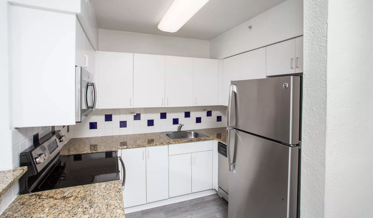 Flamingo South Beach - Miami, FL - Interior Kitchen