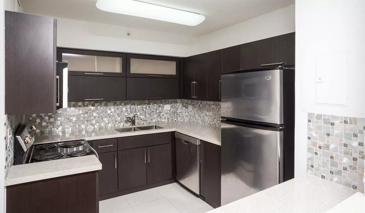 Flamingo South Beach - Miami, FL - Kitchen