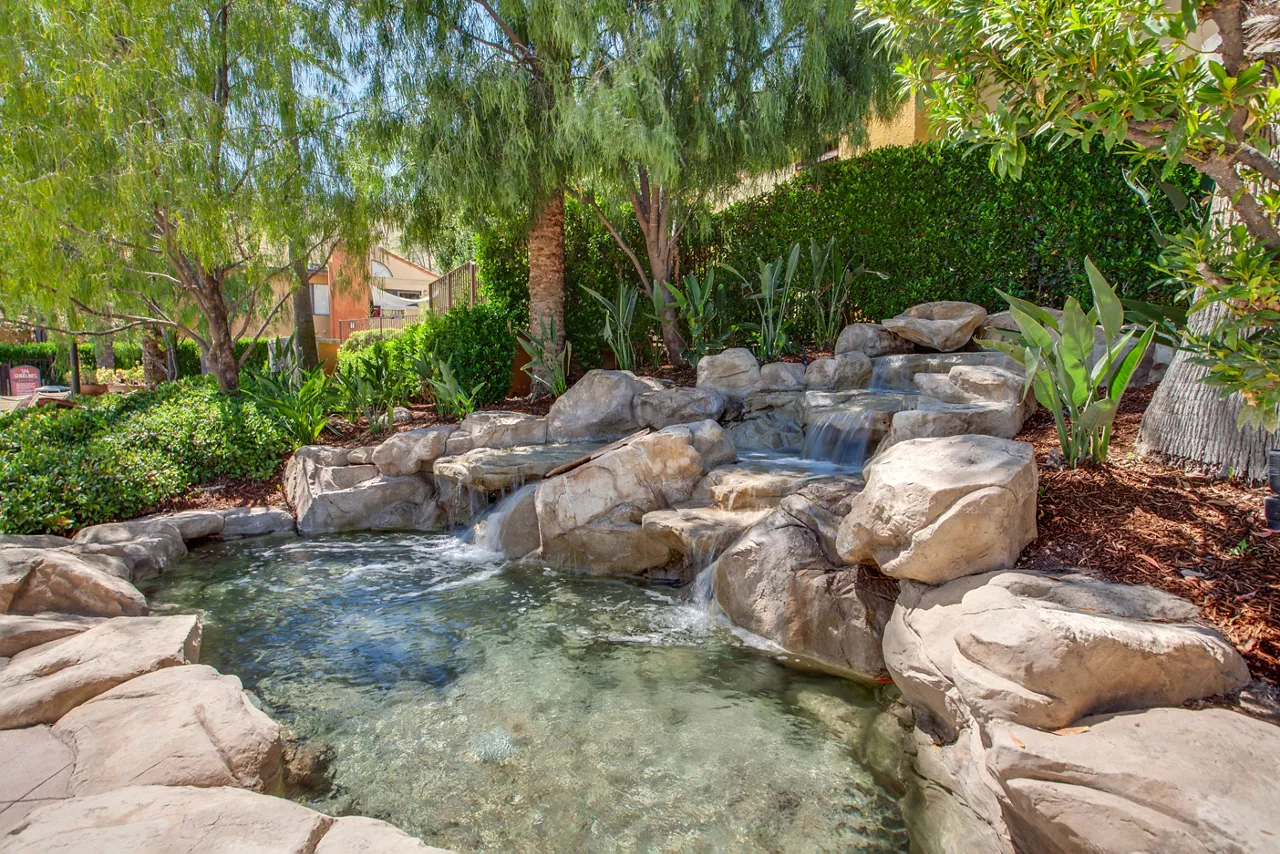 Malibu Canyon - Calabasas, CA - pond