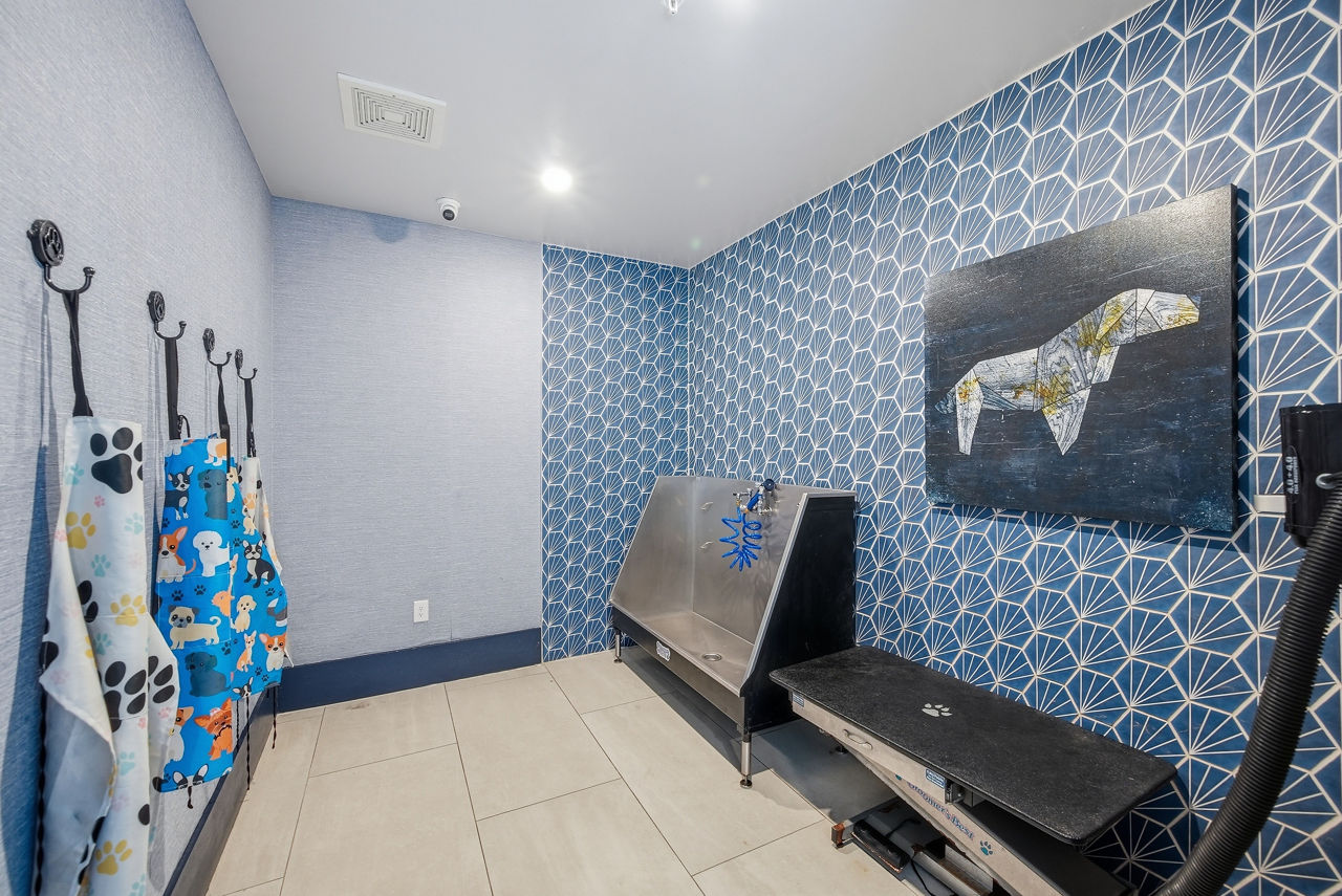 Pet wash at Brea Wendell Falls