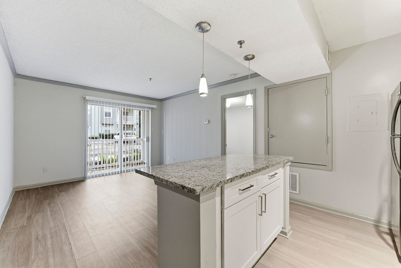 Buckhead and Vine - Atlanta, GA - Living Room