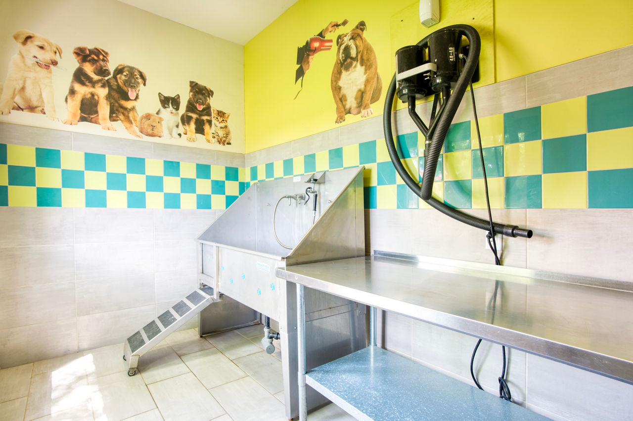 Pet wash at Heritage District