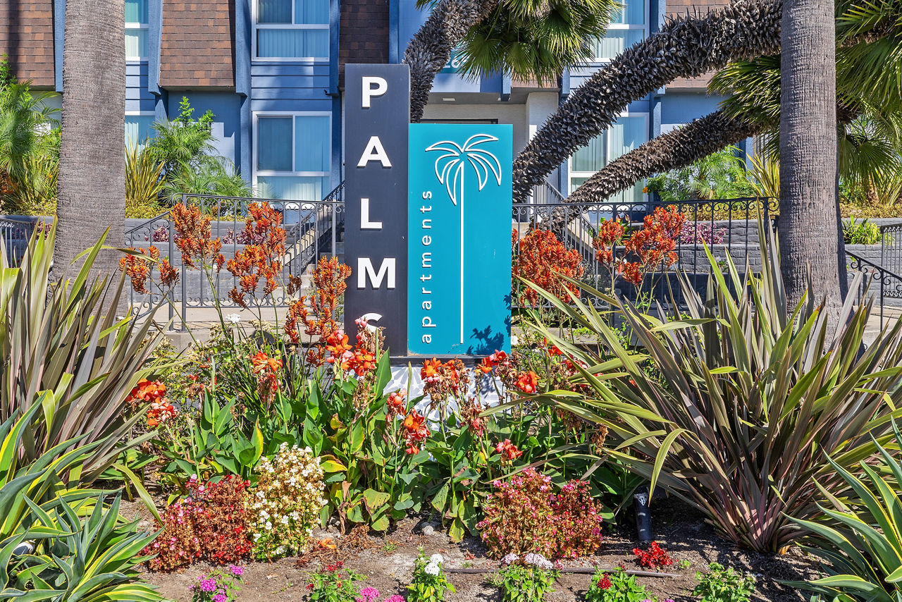 Palms Apartments 3 of 12