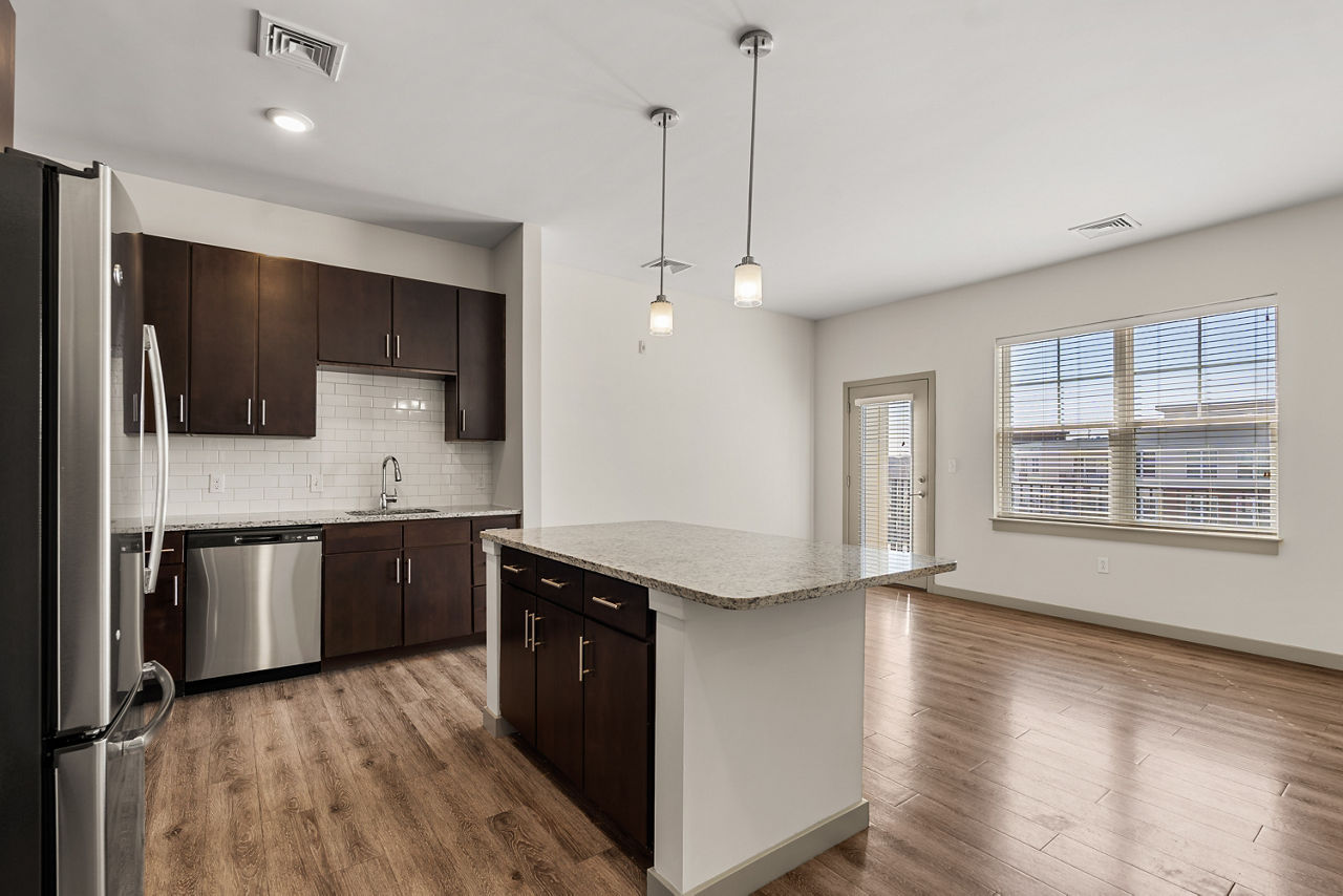River Birch - Watertown, MA - Kitchen Living Room