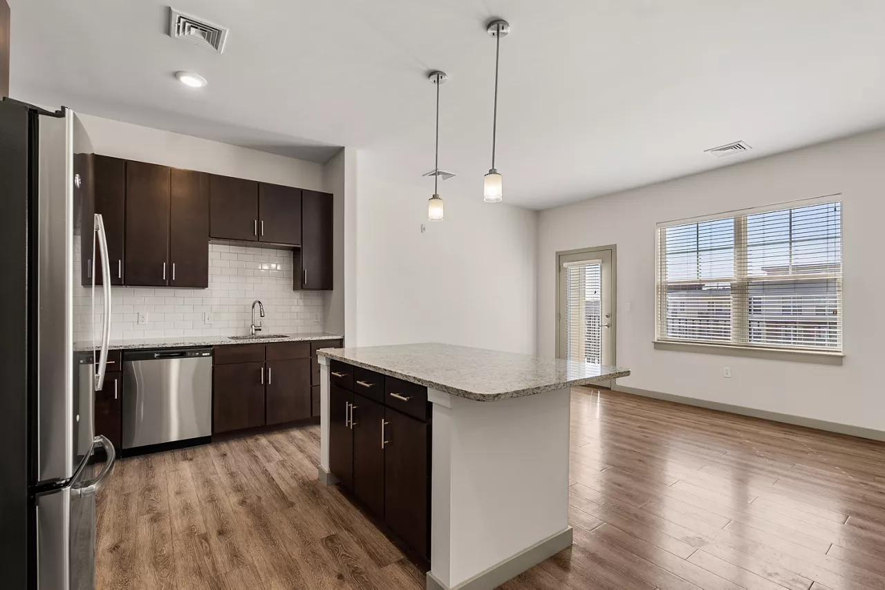 River Birch - Watertown, MA - Kitchen Living Room