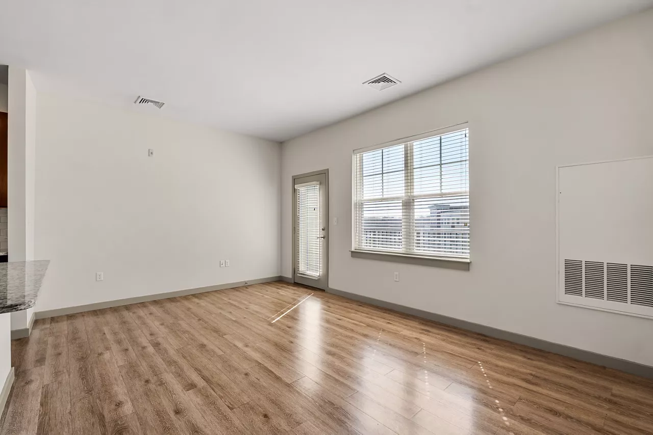 River Birch - Watertown, MA - Living Room