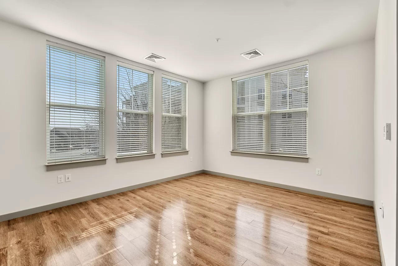River Birch - Watertown, MA - Living Room