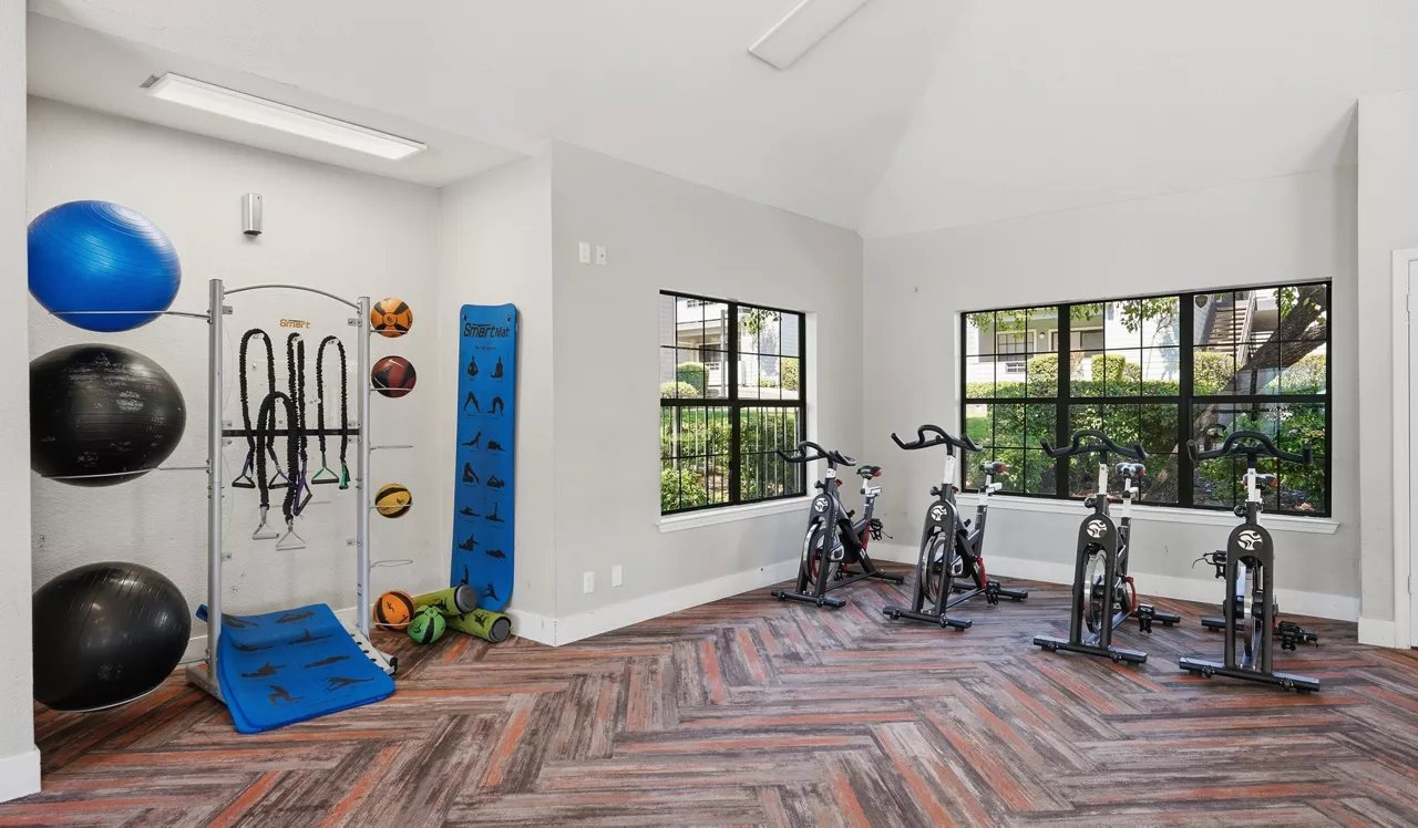 gym 4