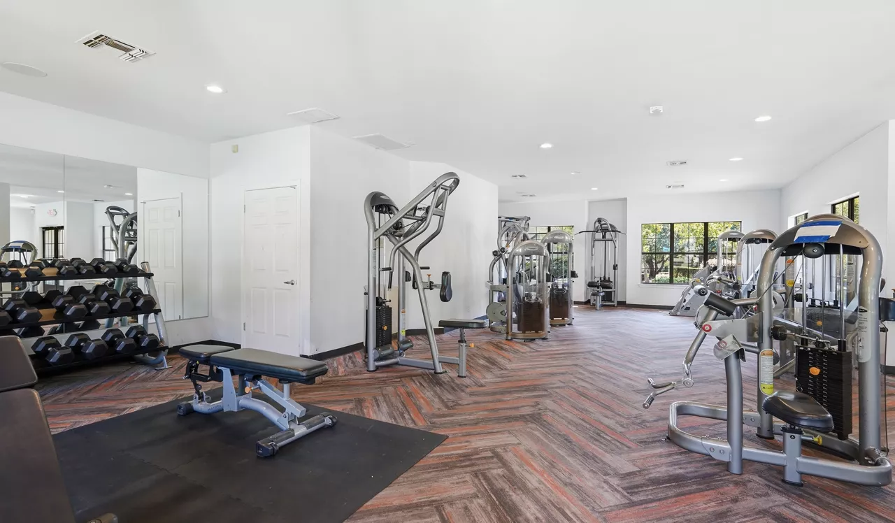gym 4