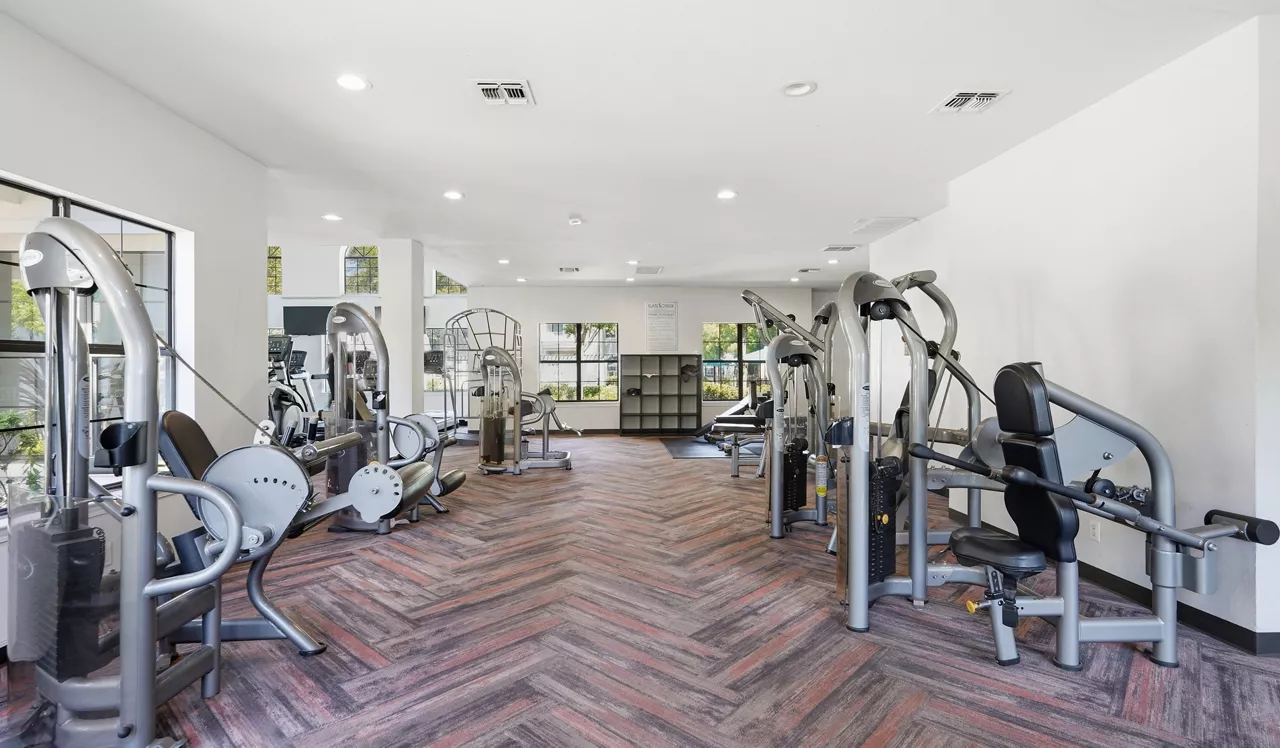 Gym 5
