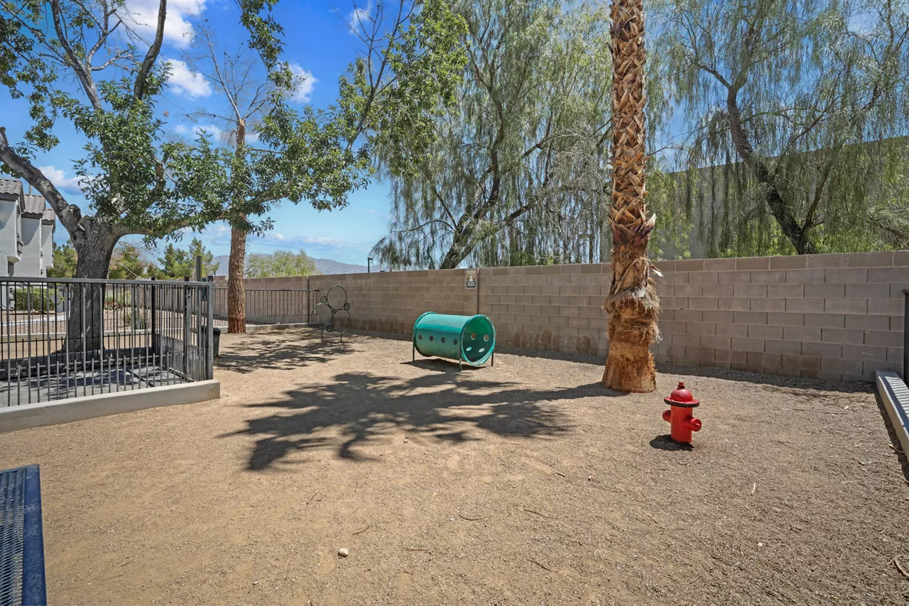 Solitude at Centennial in Las Vegas, NV - Pet Park