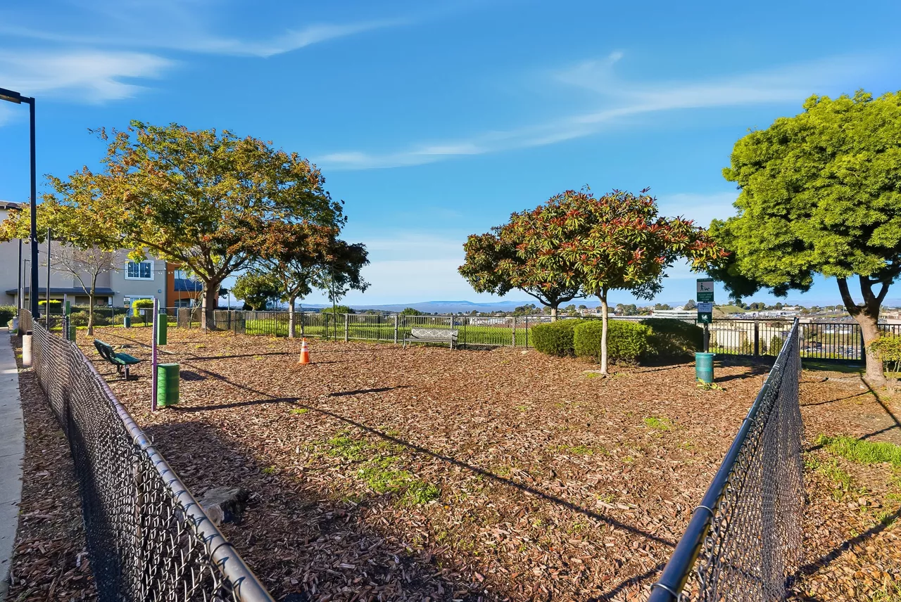 The Tides - Richmond, CA - dog park