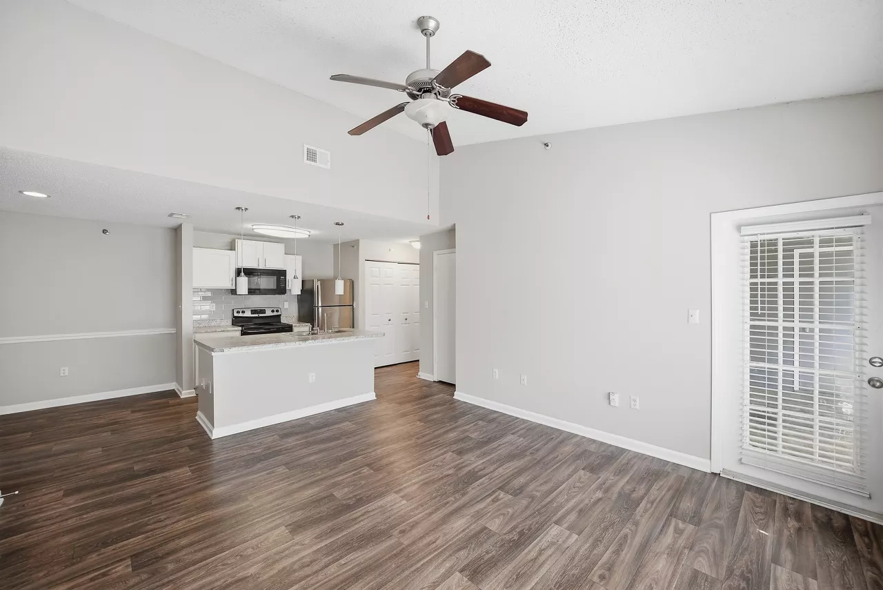 Windsor Falls - Raleigh, NC - Living Room