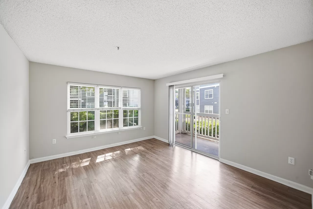 Windsor Falls - Raleigh, NC - Living Room