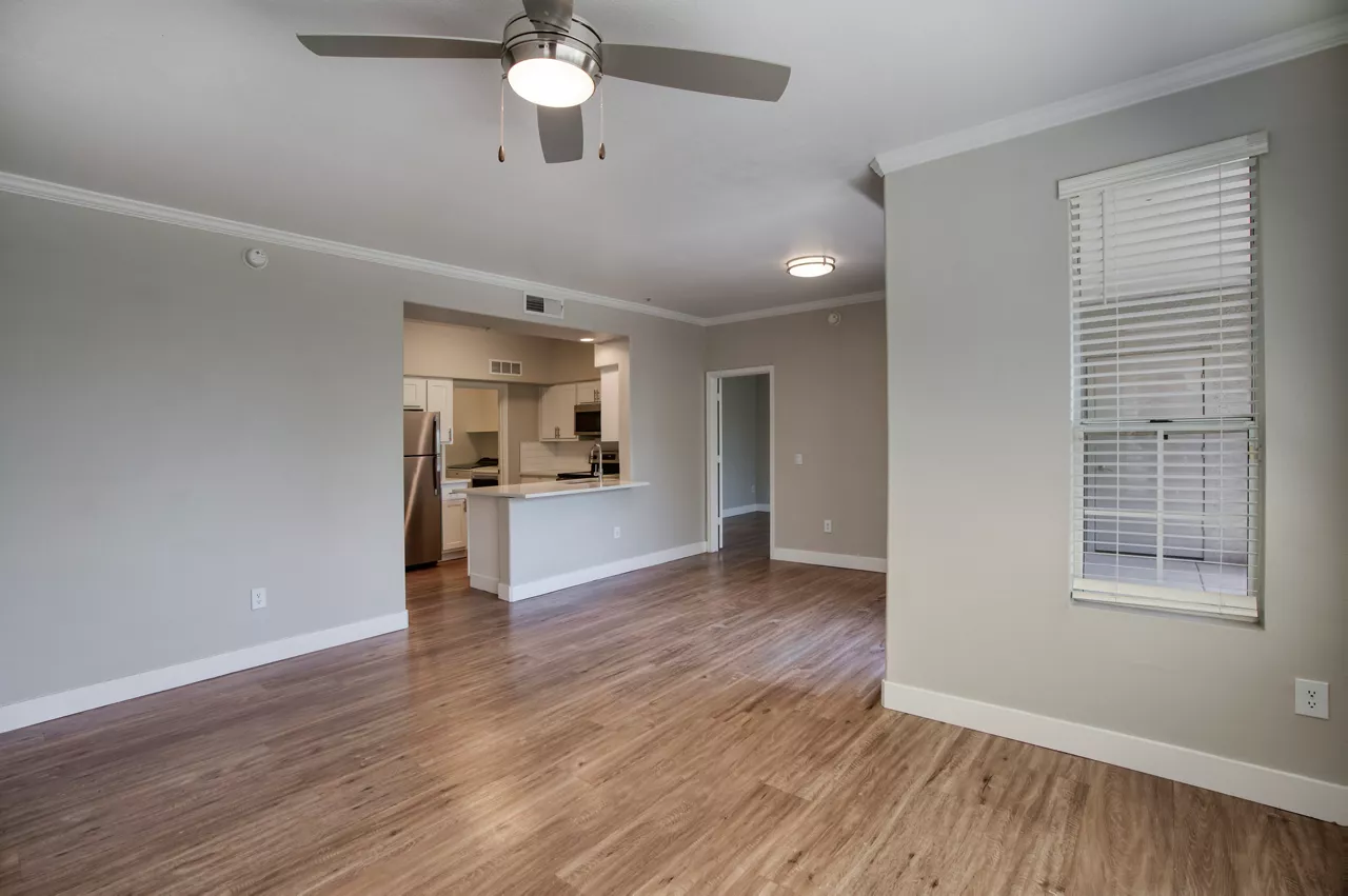 Sierra Foothills - Ahwatukee, AZ - living room