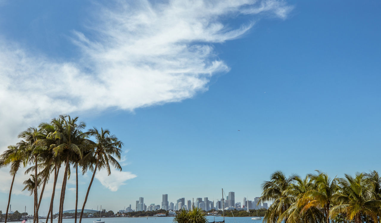 Flamingo Point - Miami, FL -  The Horizon Ocean View