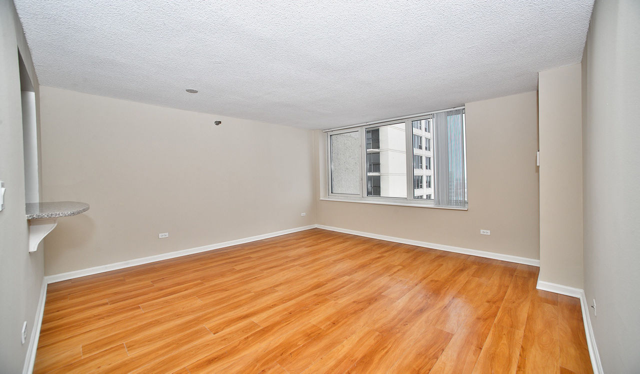 Hyde Park Tower Apartments - Chicago, IL - Living