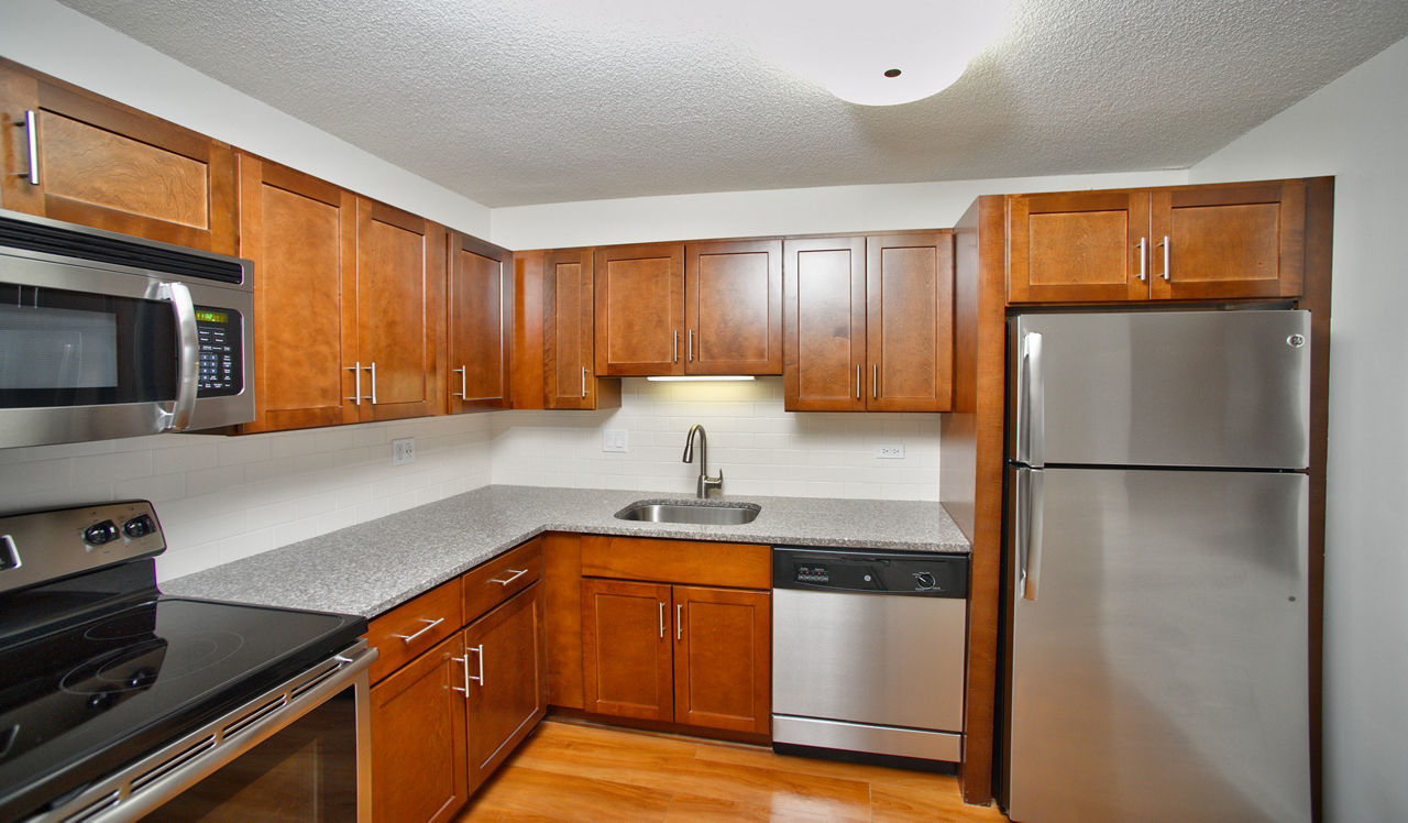 Hyde Park Tower Apartments - Chicago, IL - Kitchen 