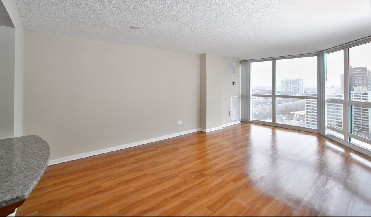 Hyde Park Tower Apartments - Chicago, IL - Living