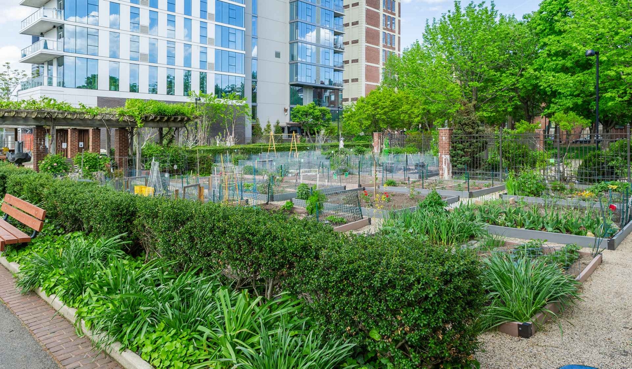Locust on the Park - Philadelphia Apartments for rent - urban garden.<p style="text-align: center;">&nbsp;</p>
<p style="text-align: center;">Got a green thumb? You can grow your own produce in the exclusive Schuylkill River Park Community Garden just a minute away by foot.&nbsp;</p>
