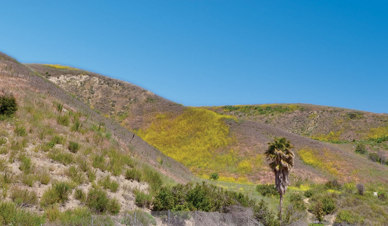 Malibu Canyon - Calabasas, CA - Hills