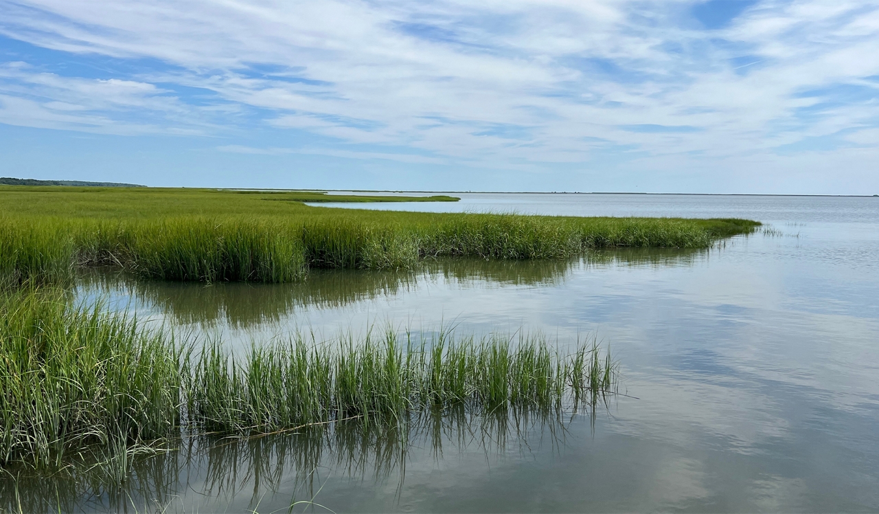 The Chase at Overlook Ridge - Revere, MA - Rumney Marsh Reservation