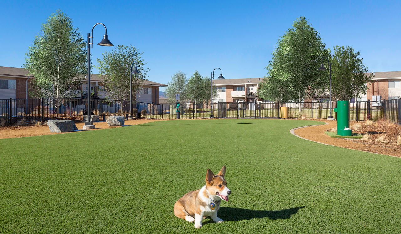 Meadow Creek - Boulder, CO - Dog Park