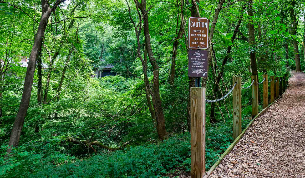 North Park - Chevy Chase, MD - Trail