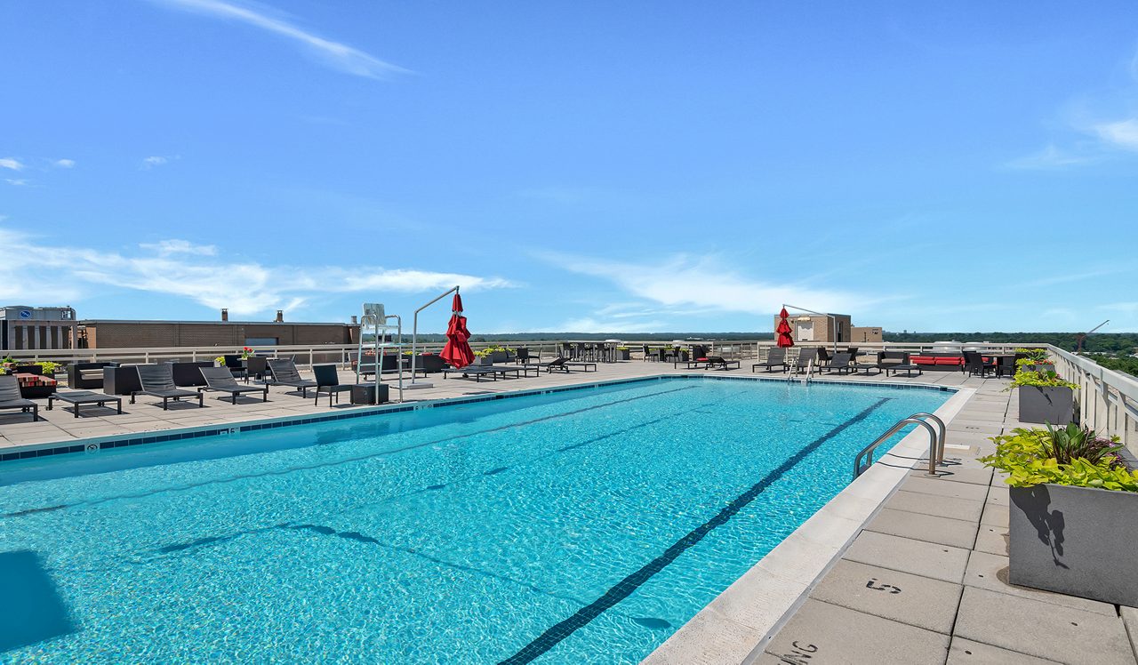 North Park - Chevy Chase, MD - pool