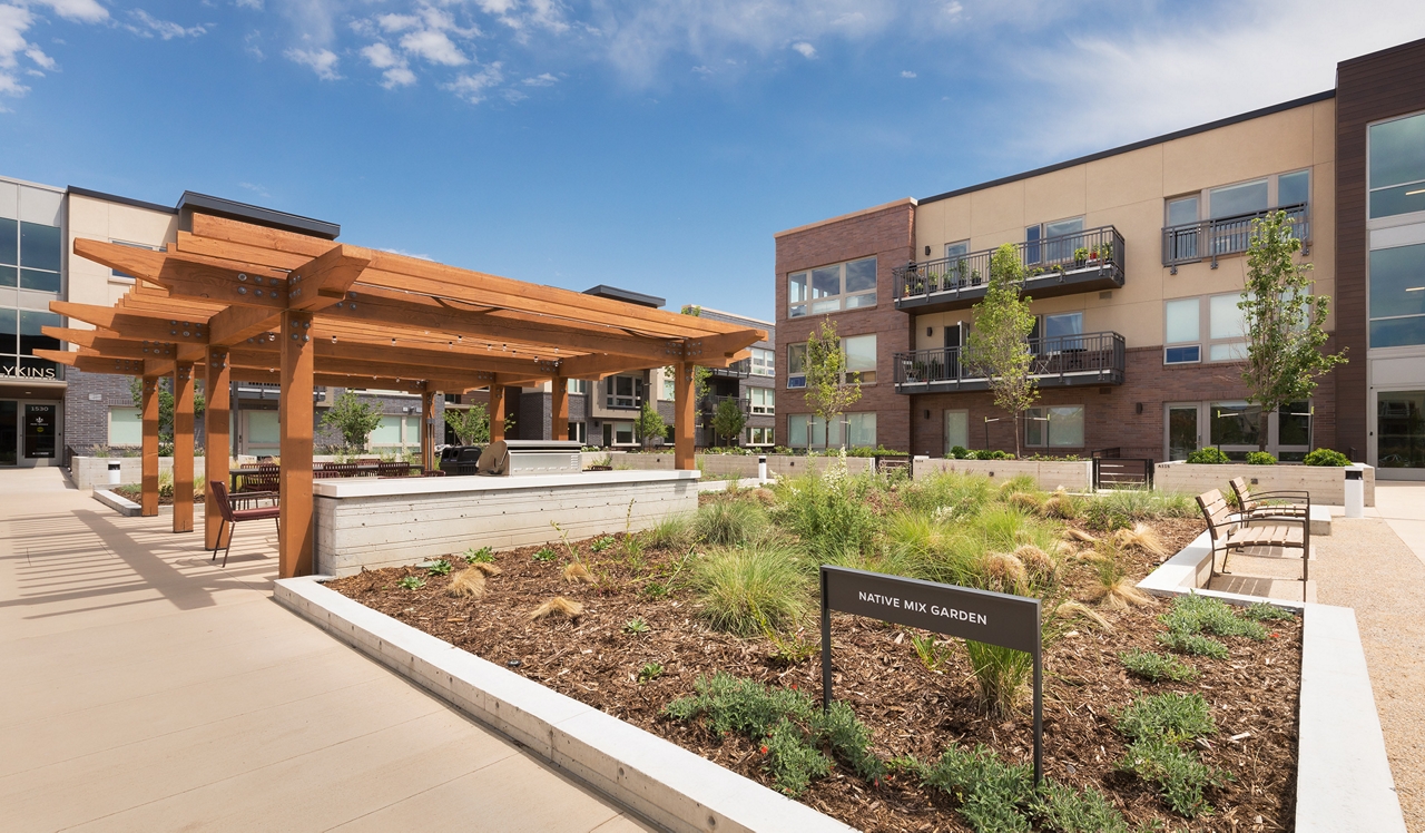 Parc Mosaic | Boulder, CO | Native Garden.Native mix garden and patio offers a verdant place to relax with family, friends, and neighbors .