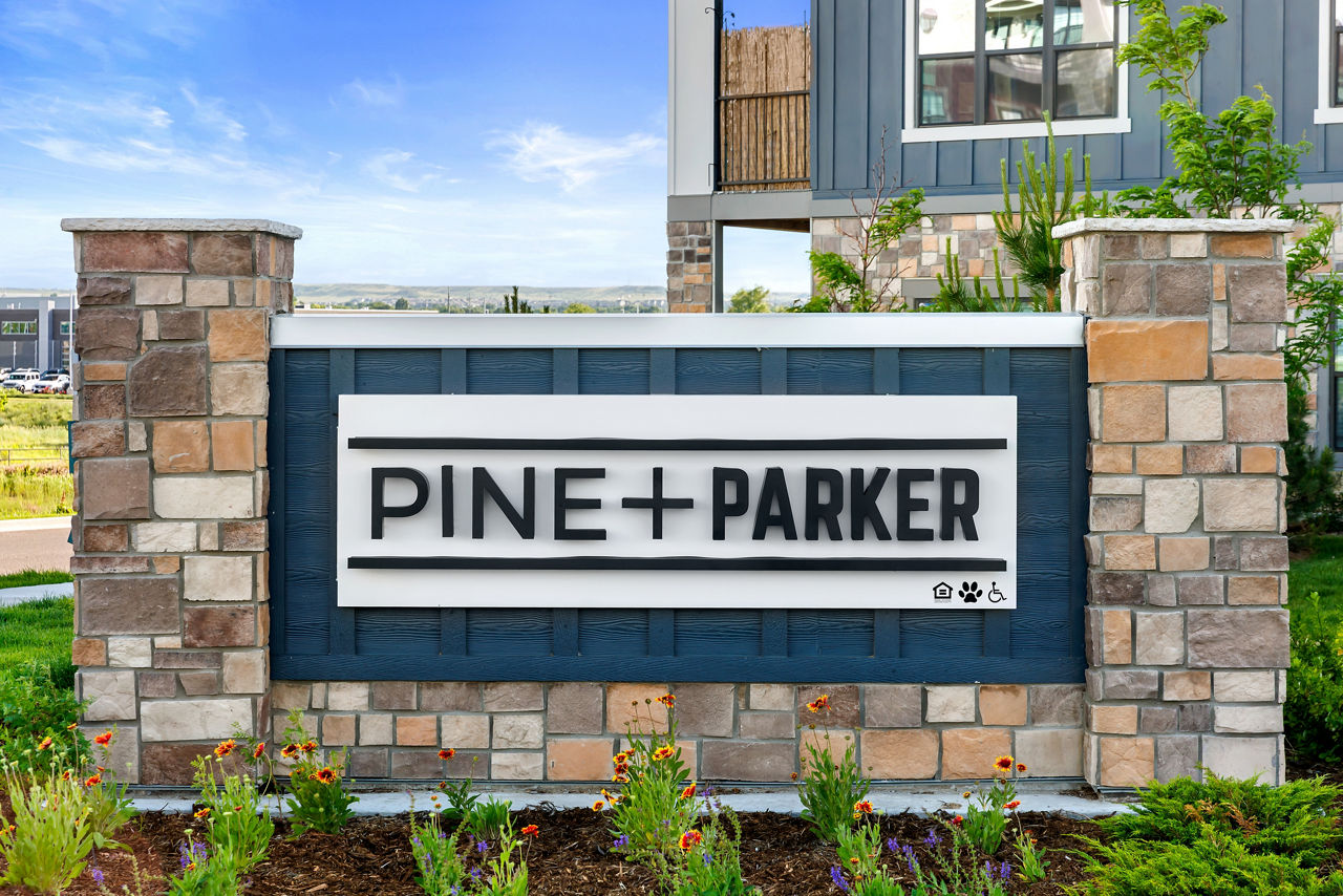 Pine and Parker 2 of 12