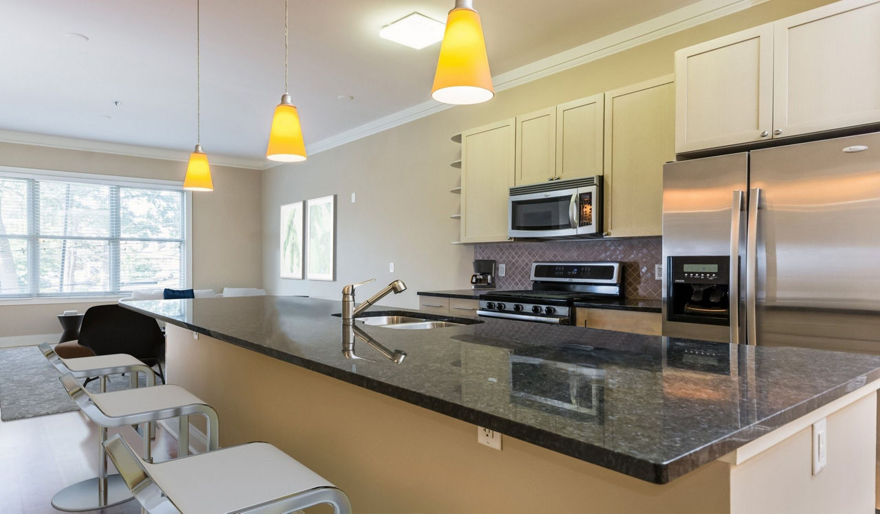 Tremont Apartment Homes - Atlanta, GA - Kitchen