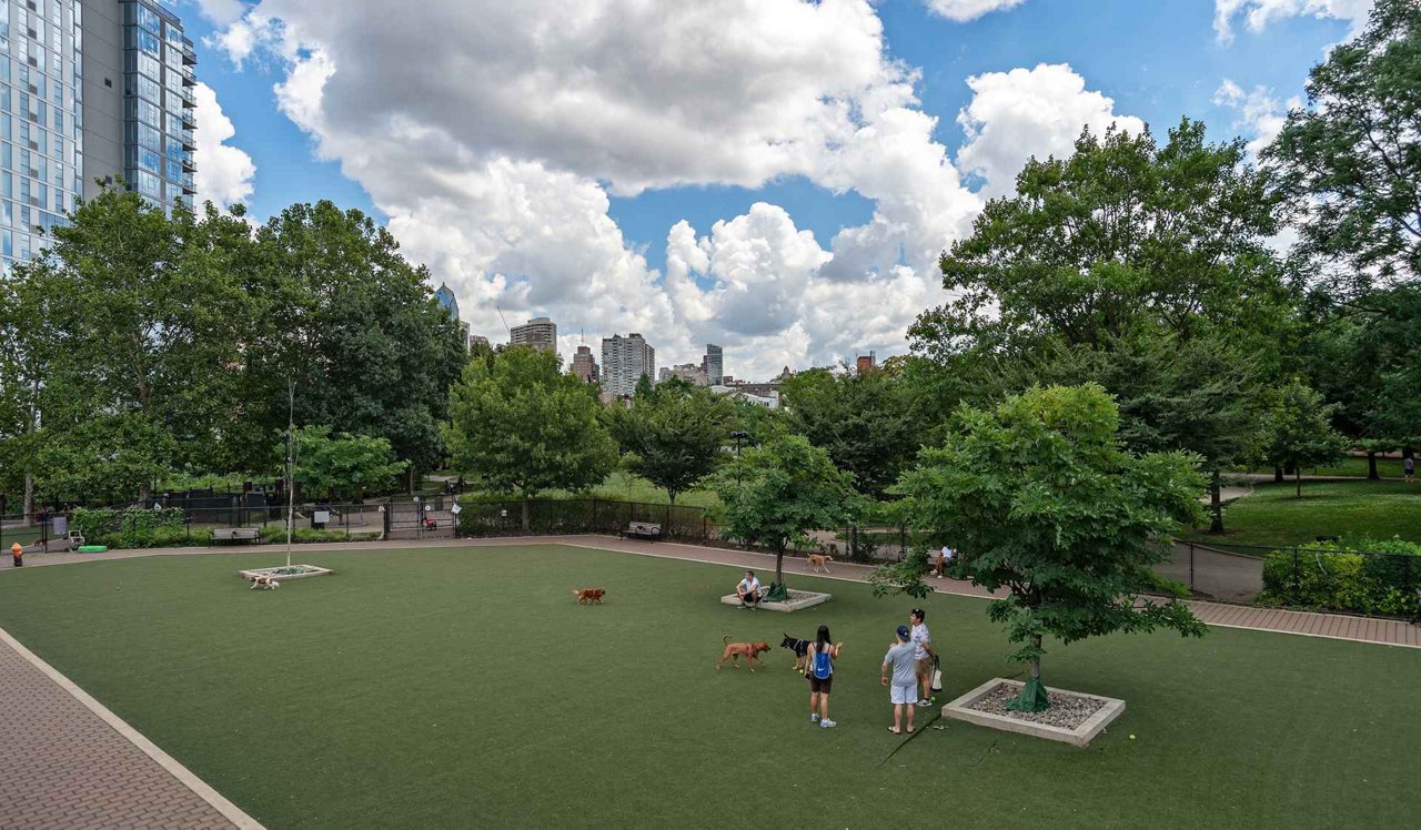 Riverloft - Philadelphia, PA - Dog Park.<div style="text-align: left;">&nbsp;</div>
<div style="text-align: center;">Take your energetic pup to the dedicated large and small dog runs at the Schuykill River Park.&nbsp;</div>
