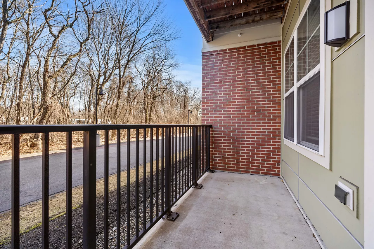 River Birch - Watertown, MA - balcony