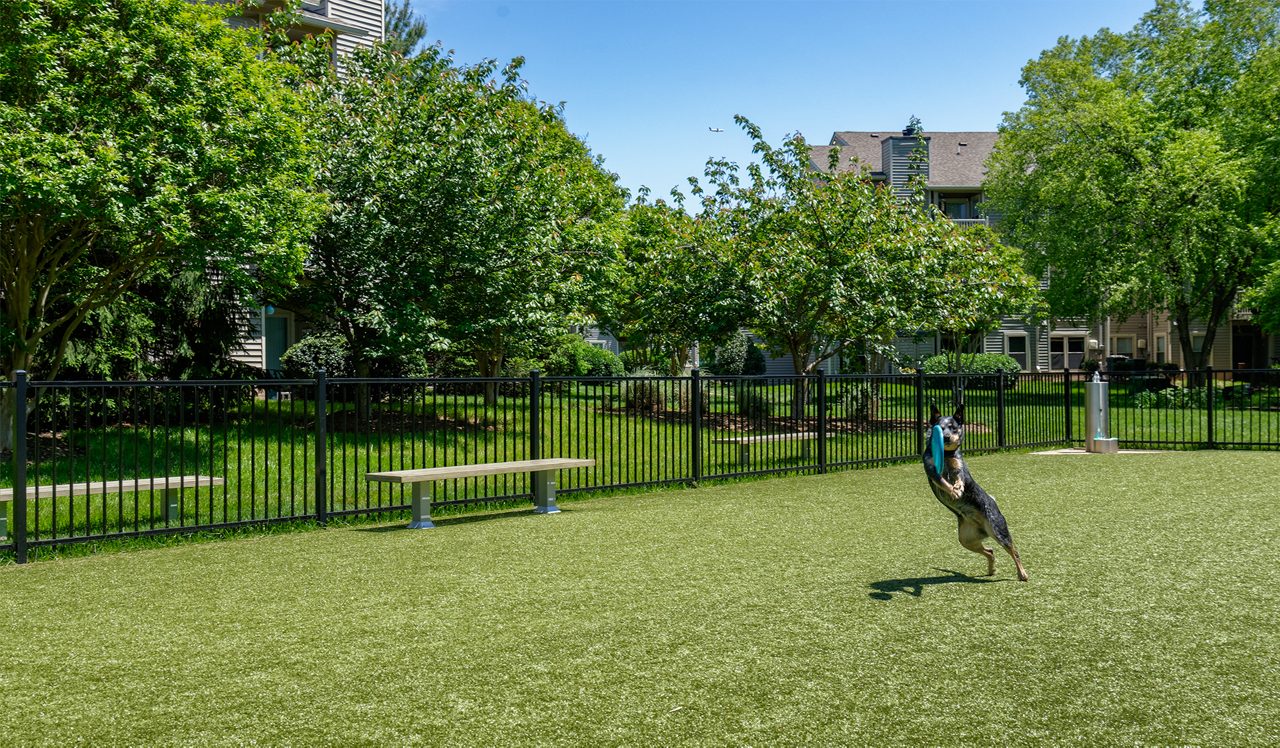 Shenandoah Crossing - Fairfax, VA - dog park