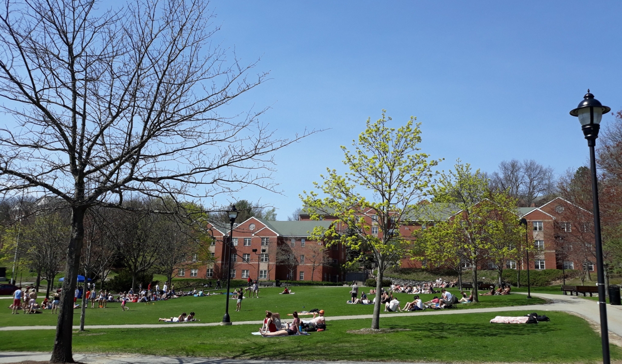 Charlesbank - Watertown, MA - Bentley University.<p style="text-align: center;">&nbsp;</p>
<p style="text-align: center;">Bentley University is within commuting distance of your new home, located 2.5 miles away.</p>
